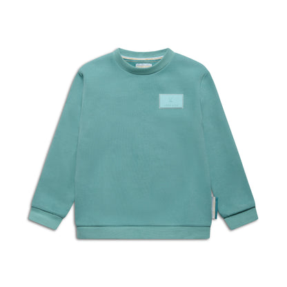 Boys' sweatshirt with signature patch