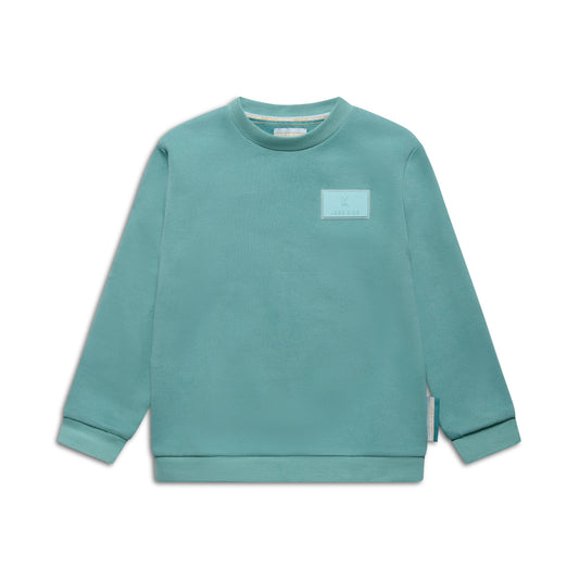 Boys' sweatshirt with signature patch
